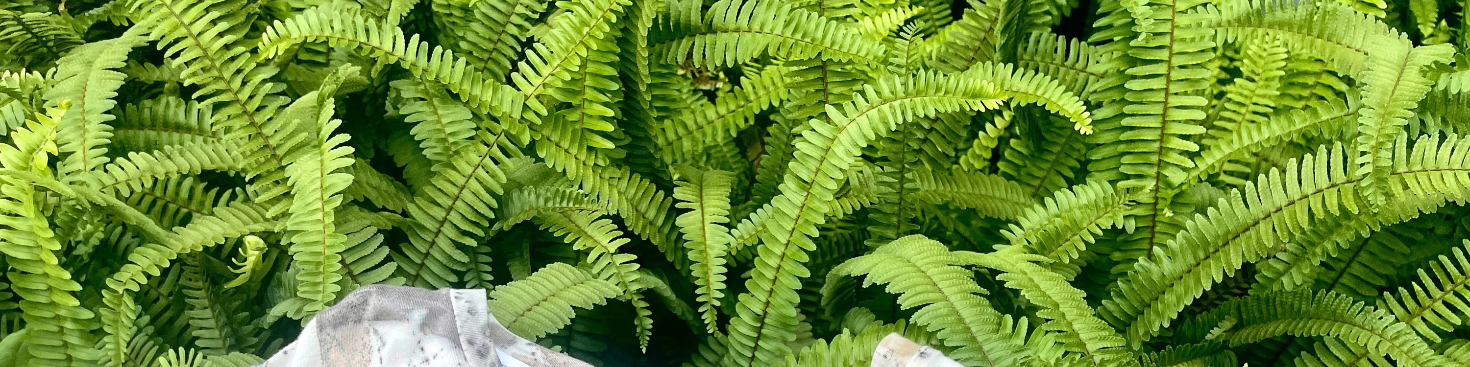 PMQ A Studio - 植物印染工作坊 | 蓝晒工作坊 | 中环